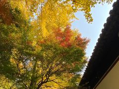 -西园戒幢律寺