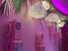 -纯K(打浦桥店)