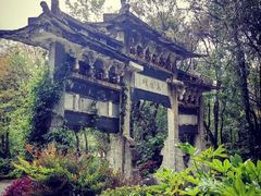 -蝴蝶泉公园