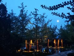 -大理实力希尔顿酒店御璽中餐厅YUXI – CHINESE RESTAURANT