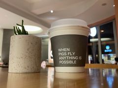 -WHEN PIGS FLY当猪飞