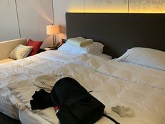 -上海崇明金茂凯悦酒店