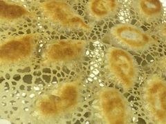 -大清花饺子(园林路店)