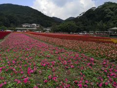-广州市石门国家森林公园