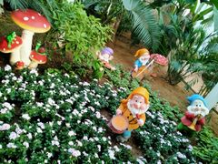 -石家庄市植物园