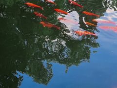-浙江省博物馆(孤山馆区)