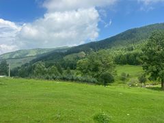 -芦芽山旅游度假区
