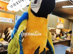 -ZOO COFFEE动物园咖啡(望京锐创店)