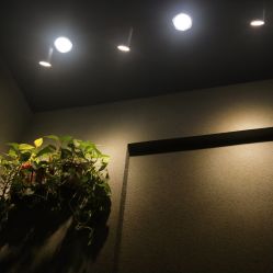 点击看大图 -藤野造型