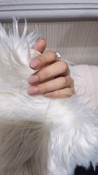 -BELLAREAL新美社