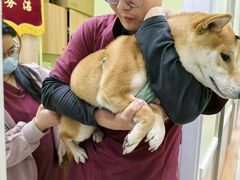 -瑞鹏宠物医院·宠保定点·心脏科·内科(御桥分院)