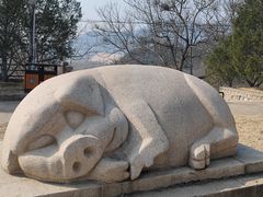 -北京十三陵国家森林公园蟒山景区