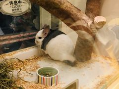 -龙猫仔乐园(惠福东路店)