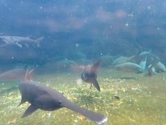 -洋湖国家湿地公园