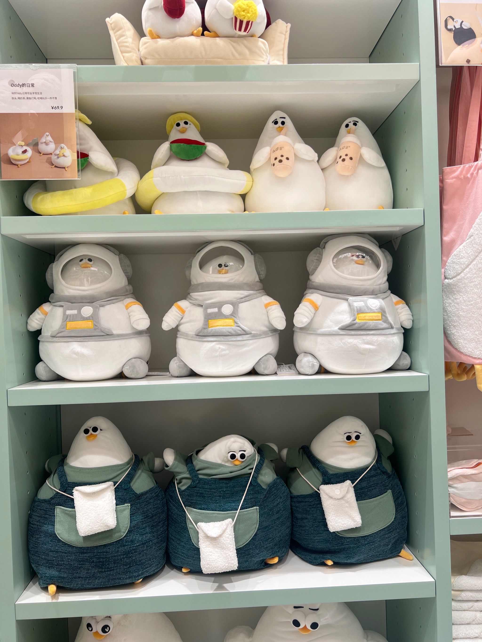 丹麦海鸥,你还有多少面是朕没见过的