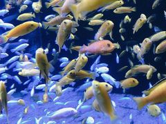 -成都浩海立方海洋公园