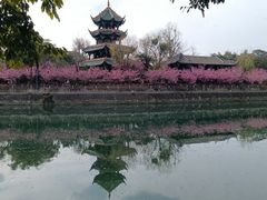 -望江楼公园