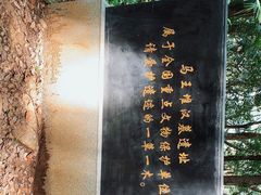 -马王堆汉墓遗址