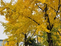 -杭州九堡客运中心