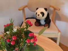 -竹子咖啡bamboo coffee
