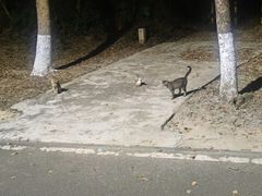 -凤岗南门山森林公园