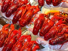 -舞虾小说.涮肉.烧烤(国顺东路店)