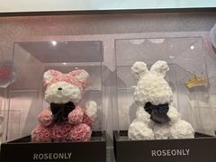 -ROSEONLY诺誓(广州K11店)
