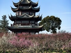 -上海海湾国家森林公园