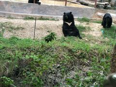 -清迈夜间动物园