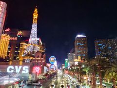 -拉斯维加斯永利酒店