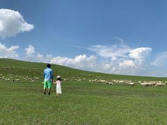 -诺敏塔拉奶茶-布里亚特包子-手把肉(锦都会店)