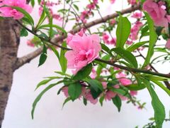 iphone_upload_pic-乌山风景区