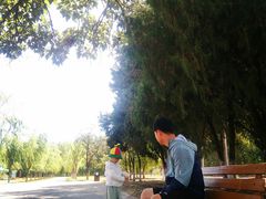 -天津武清北运河郊野公园房车露营地