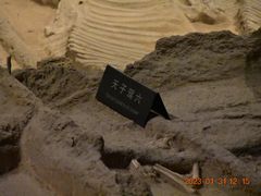 -洛阳周王城天子驾六博物馆