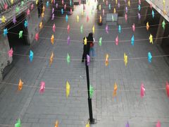 -长洲渡车船码头