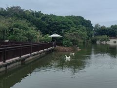 -厦门悦华酒店