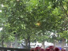 -红小满休闲餐厅(十全街店)