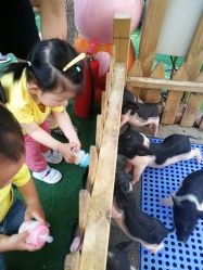 -萌宠亲子动物乐园(槐房万达店)