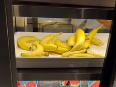 -水木谷养生水汇