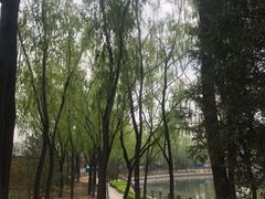 -森林公园(尖草坪区)