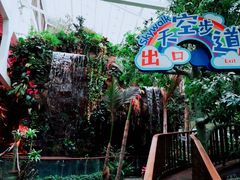 -正佳雨林生态植物园