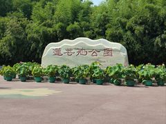 -莲花池公园