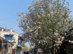 -Tubestation站点比萨(五道营店)