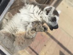 -石家庄市动物园