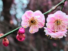 -渭河城市绿地运动公园