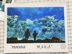 -芜湖新华联大白鲸海洋公园