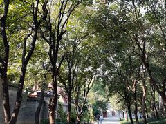 -西安大兴善寺