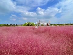 -嘉北郊野公园