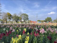 -广东花都香草世界旅游度假区