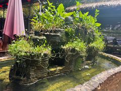 -园林美食城·本土农家菜(杨和镇店)